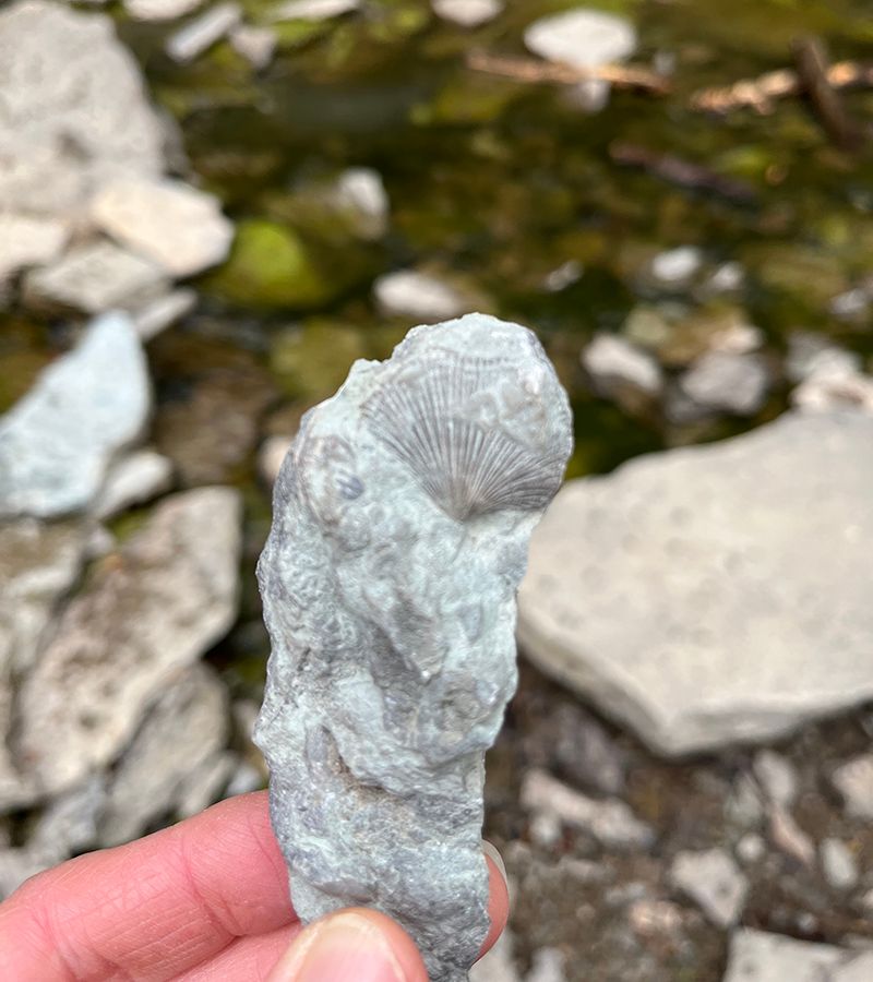 Hunt for Treasures at Caesar Creek State Park