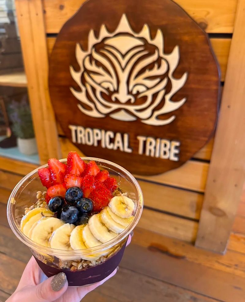 Tropical Tribe: Brazilian Açaí Experience