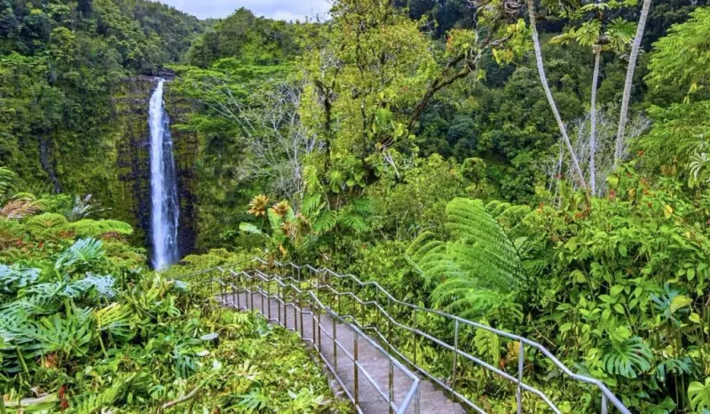 Akaka Falls (Hawai?i Island)