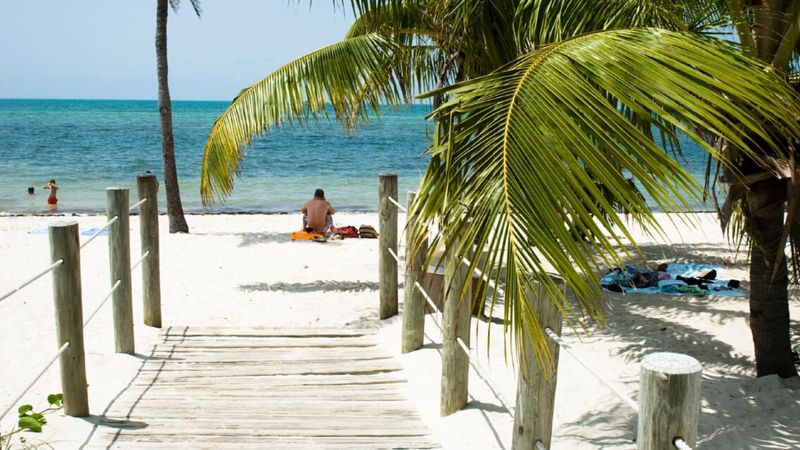 Wading Paradise in Ankle-Deep Waters