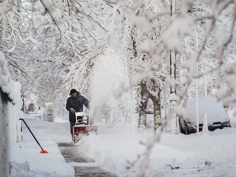 Preparing For The Season's First White Blanket