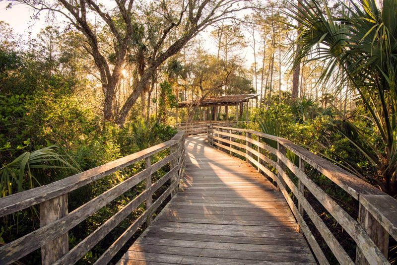 Corkscrew Swamp Sanctuary