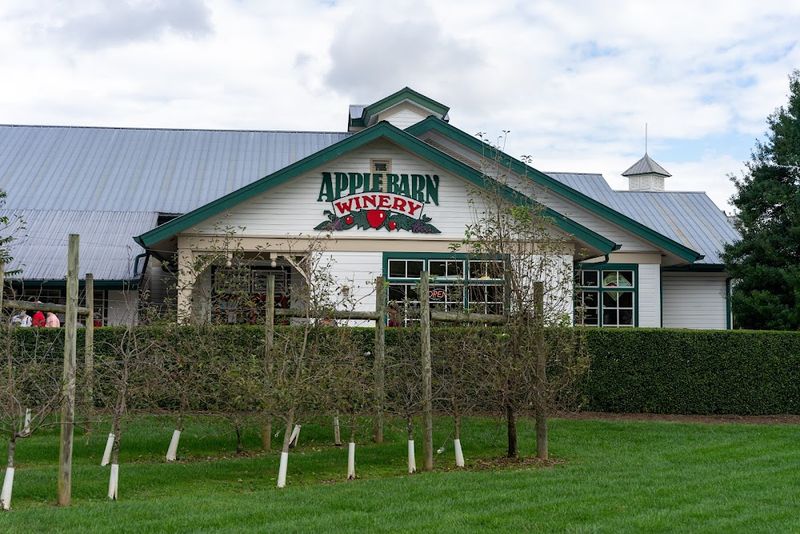 Apple Barn Winery (Sevierville, East Tennessee)