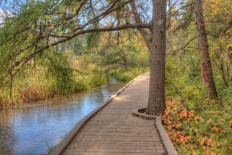 Mississippi Headwaters Magic At Itasca State Park