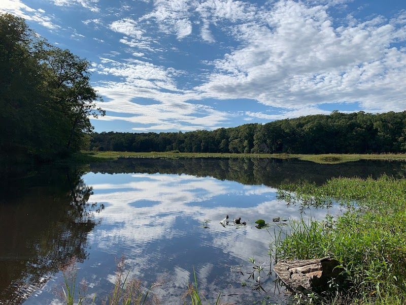 Year-Round Seasonal Beauty Without Crowds
