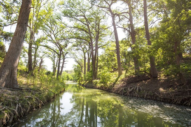 River Valley Meadows at Guadalupe River