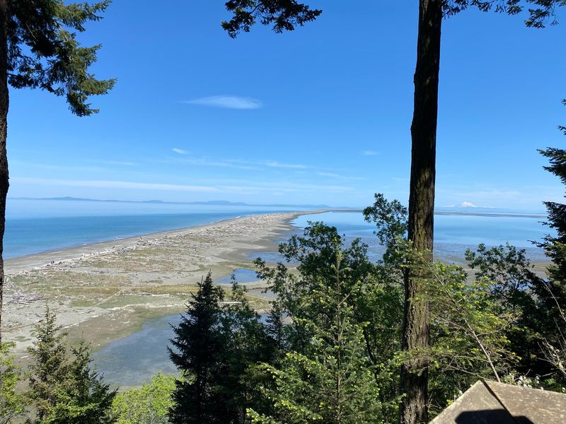 Dungeness Spit: Peninsula's Hidden Treasure