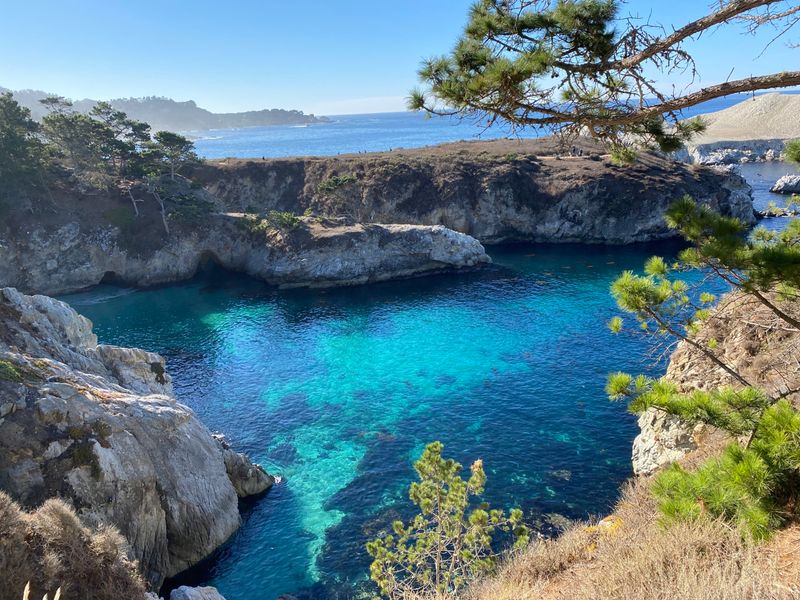 Point Lobos State Natural Reserve, Carmel-by-the-Sea