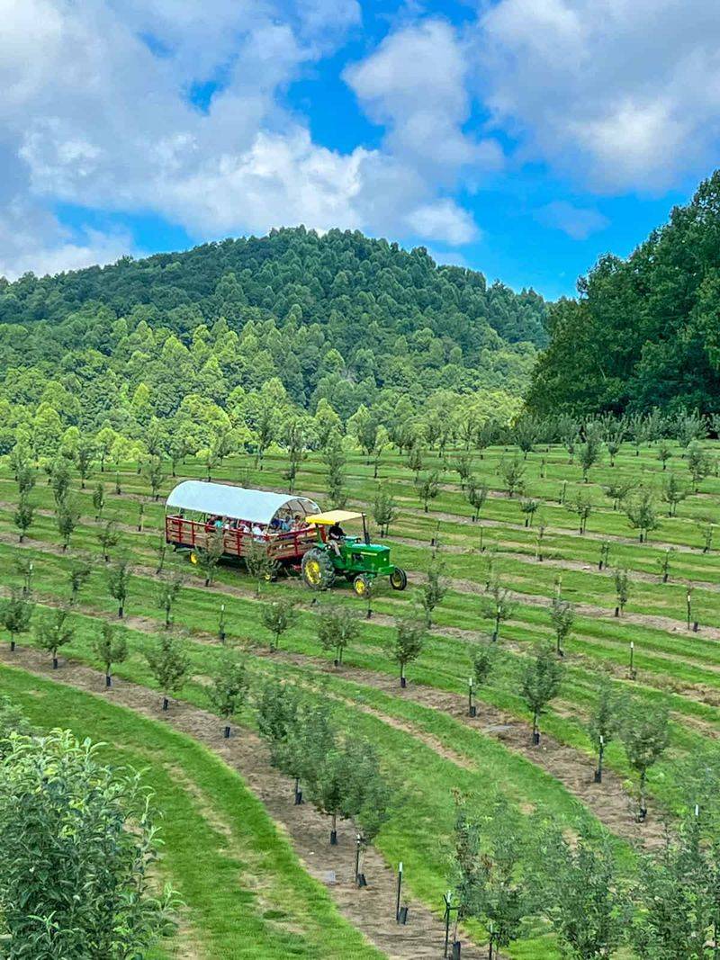 Hendersonville: Apple Orchards and Small-Town Atmosphere