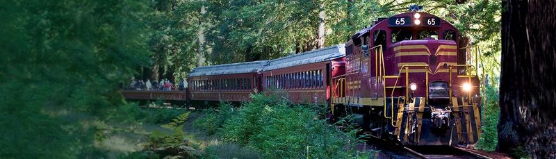 Redwood Adventure on the Skunk Train