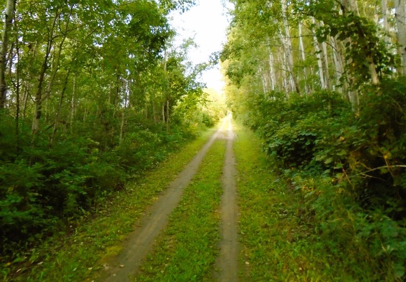 Duck Creek Trail, Outagamie/Brown Counties
