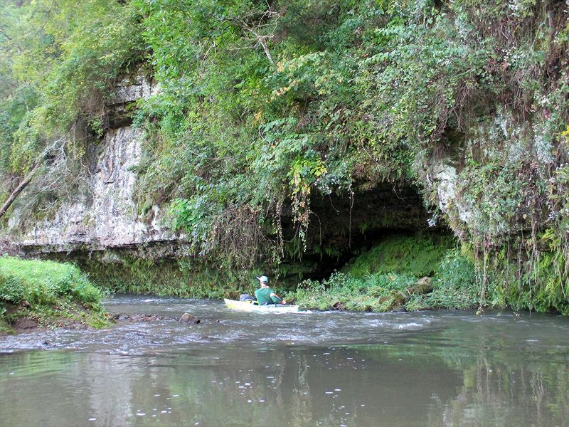 Rattlesnake Creek