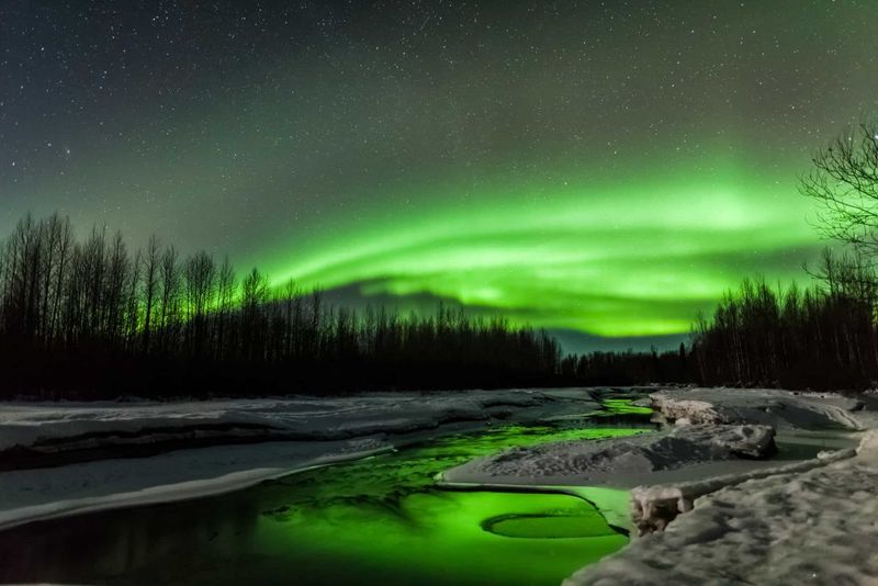 Talkeetna River Campground: Northern Lights Paradise