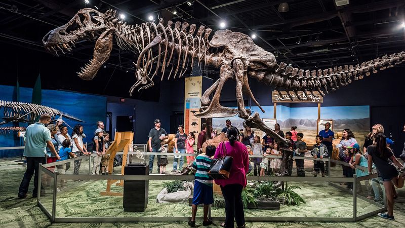 Orlando Science Center: Hands-On Discovery Haven