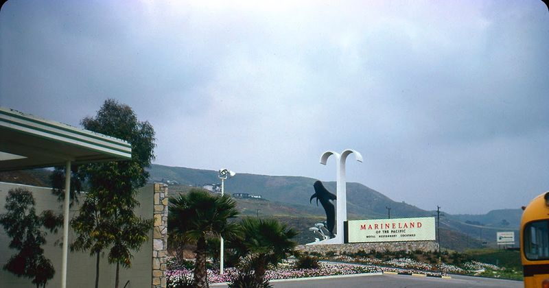 Marineland: Palos Verdes' Submerged Memory