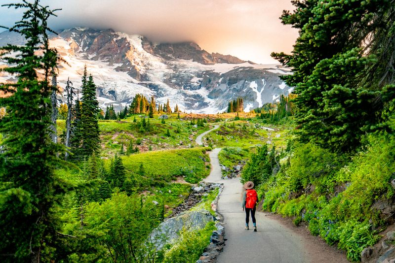 Skyline Trail at Paradise in Mount Rainier