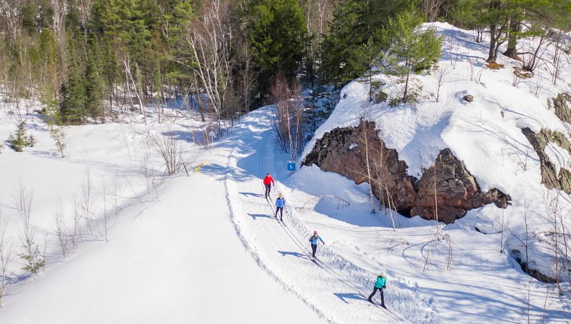 Magical Snow-Draped Forests for Silent Sports