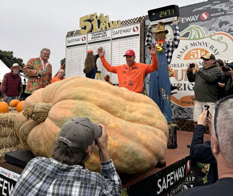 Giant Pumpkin Weigh-Off Creates Fierce Competition
