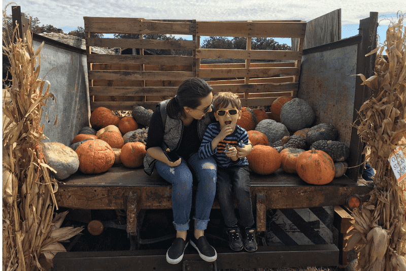 Sweet Berry Farm's Tractor Tracks Maze
