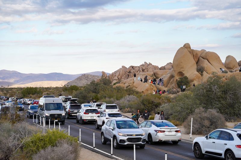 Joshua Tree: Desert Solitude Replaced by Festival Atmosphere