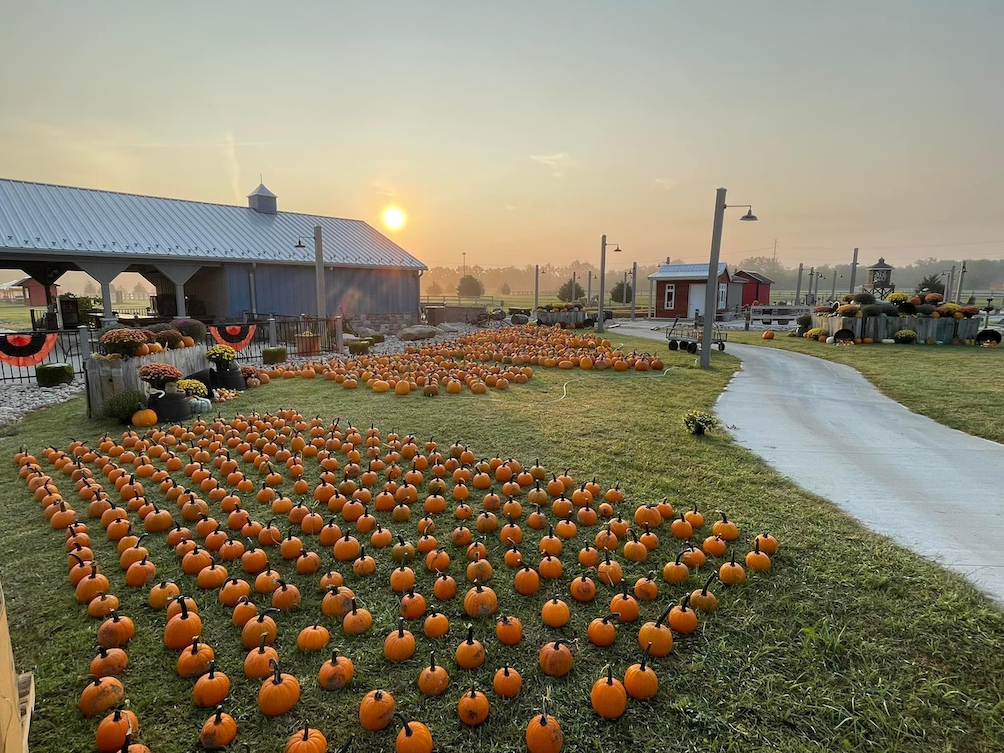 Pumpkins await at the Waynesville Fallfest in Ohio. Photo c. Warren County CVB
