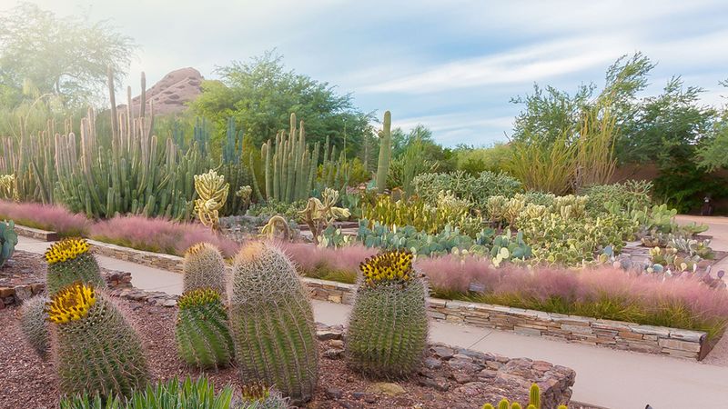 Native Plant Protection