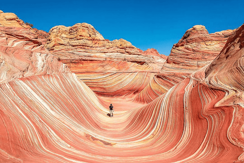 The Wave