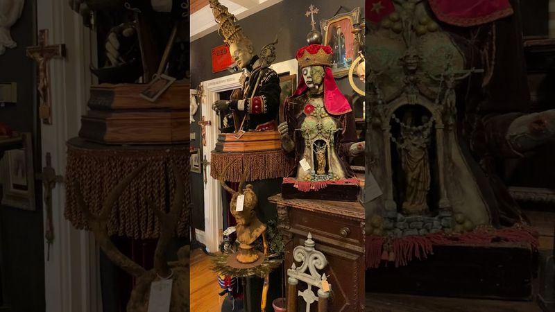 The Creeper Gallery