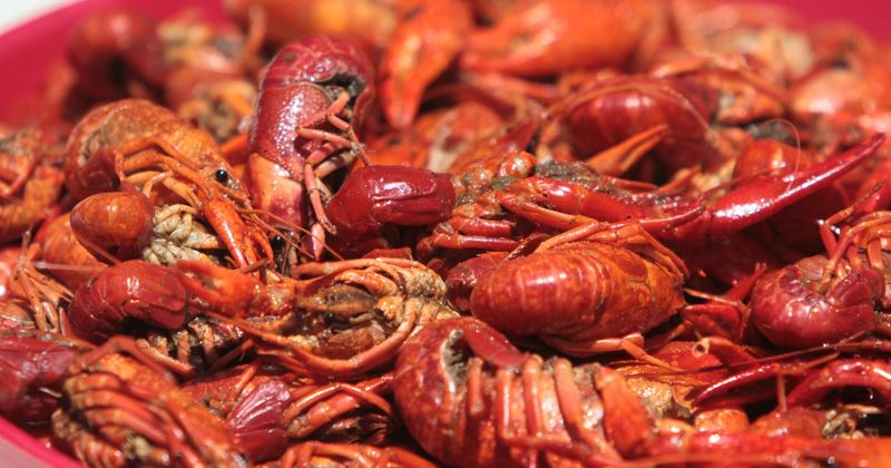 No Stealing Crawfish