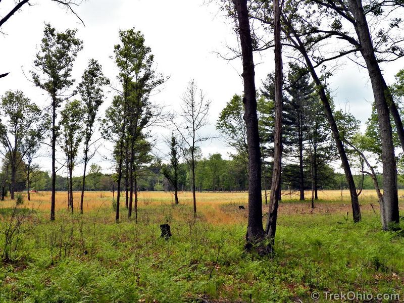 Oak Openings Preserve Metropark (Lucas County)