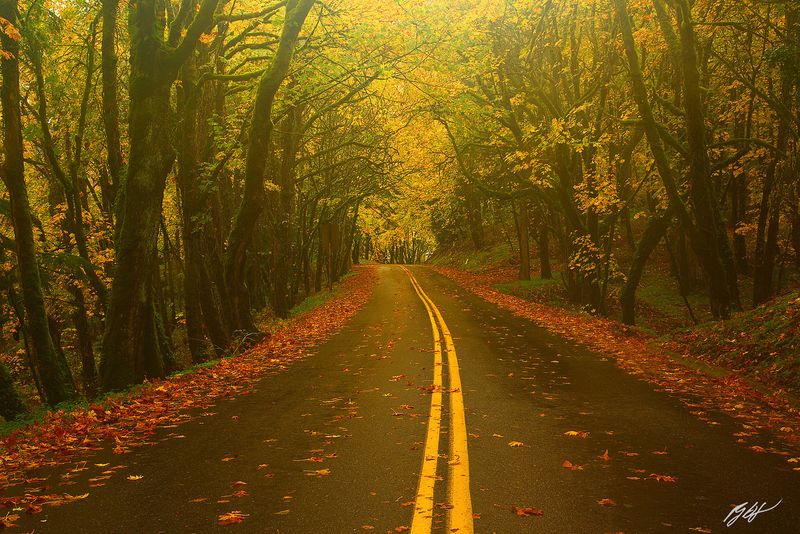 Historic Columbia River Highway