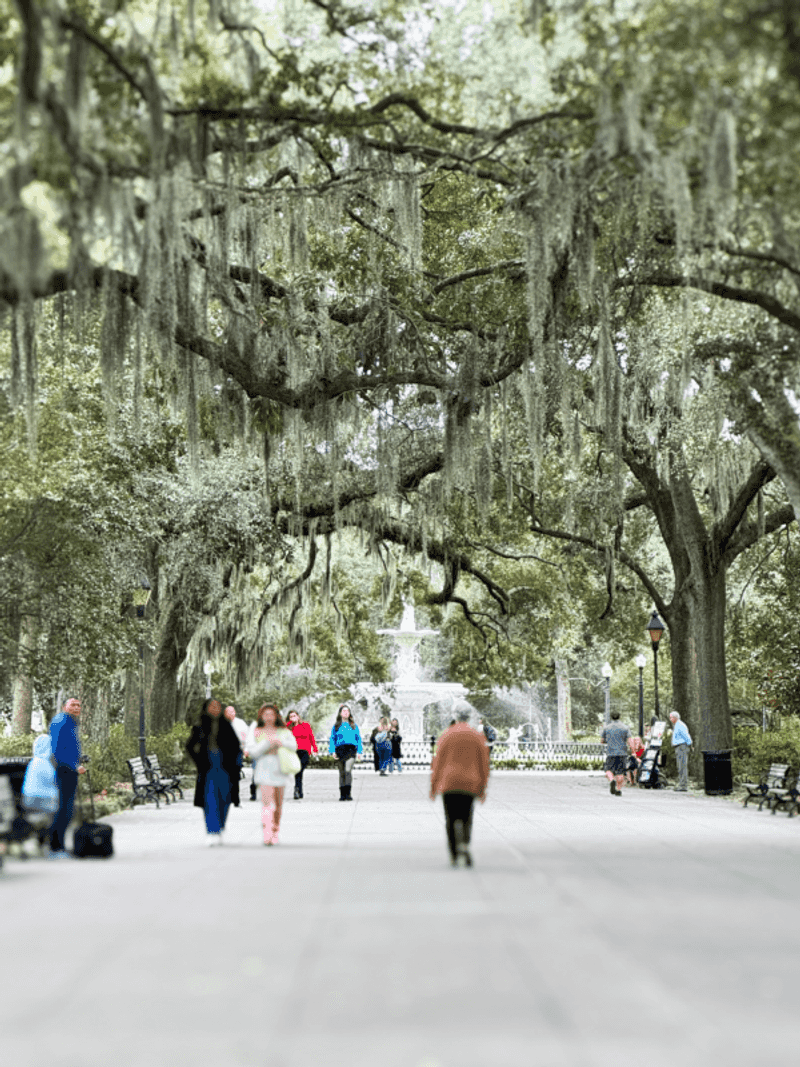 Savannah's Strolls