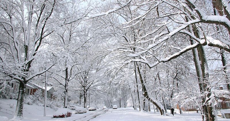 The Snow is Relentless