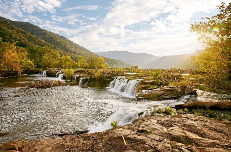 Nature Everywhere, Not Just Parks