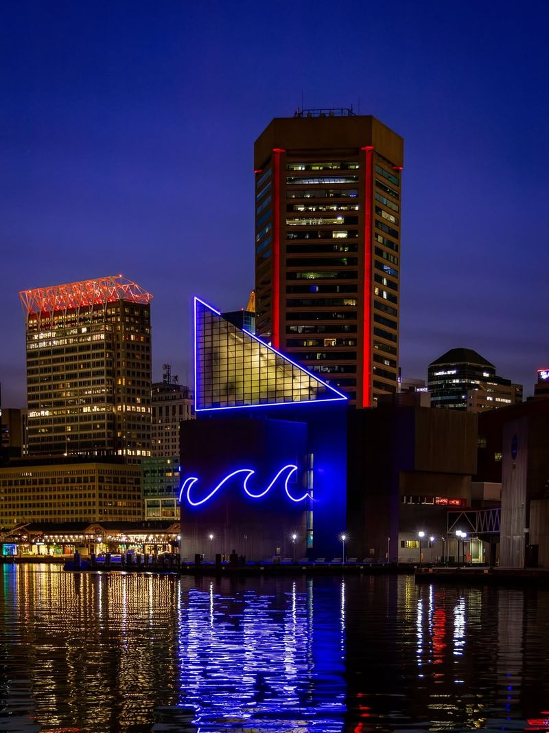 Highlight: The Inner Harbor is Pure Magic