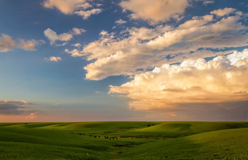 Wide-open landscapes and prairie magic