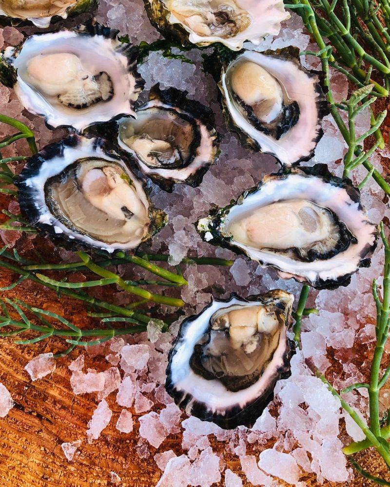 Oysters: Fresh Flavors From Puget Sound