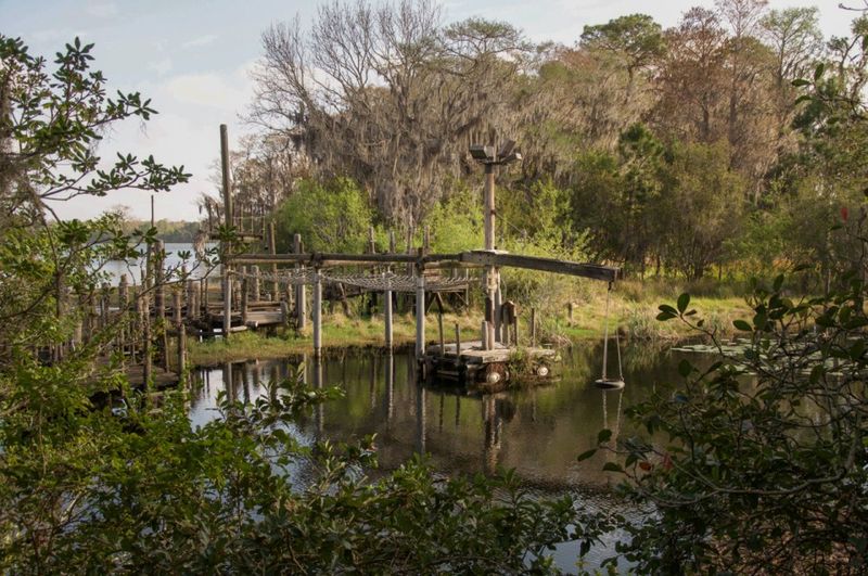 Disney's River Country: The Forgotten Water Park