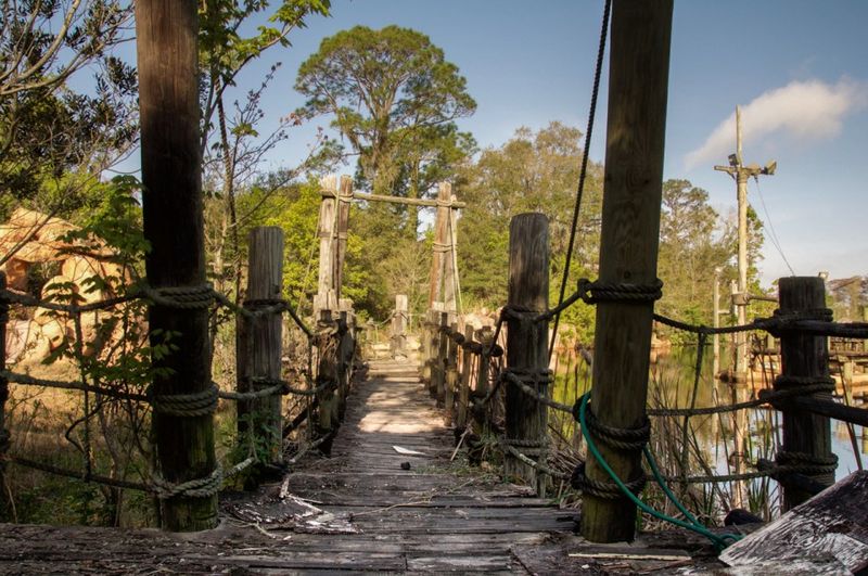 Disney’s Discovery Island (Bay Lake, FL)