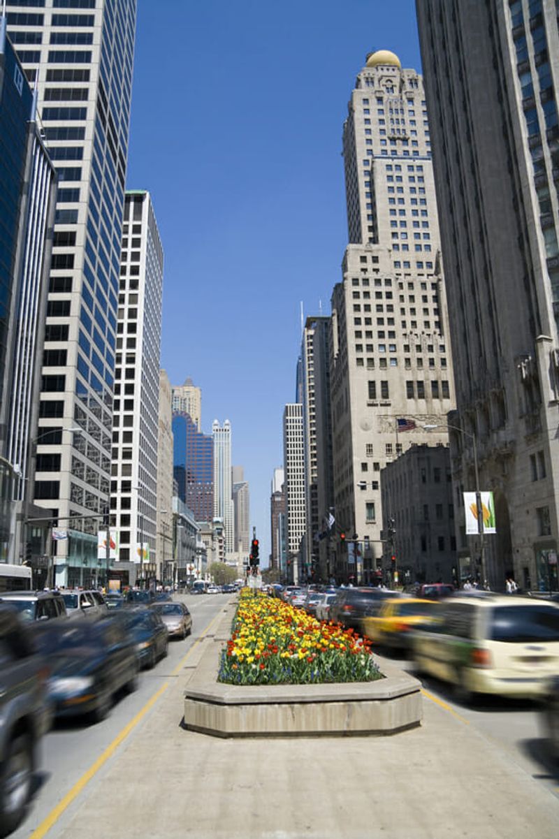 The Magnificent Mile