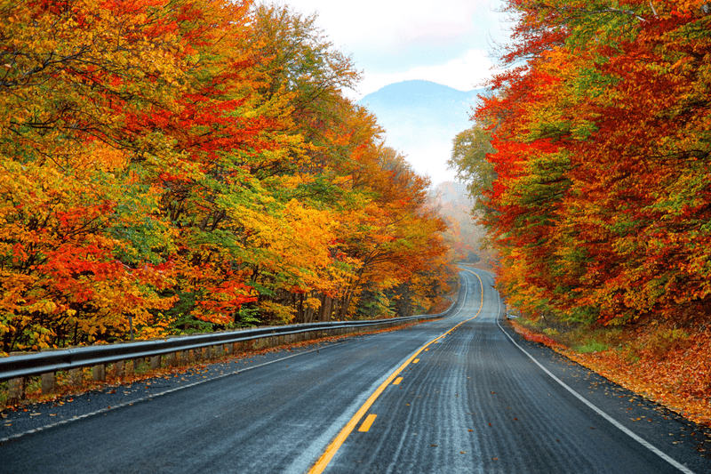 Kancamagus Highway (Route 112)