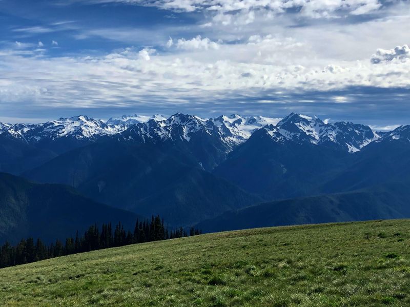 Hurricane Ridge