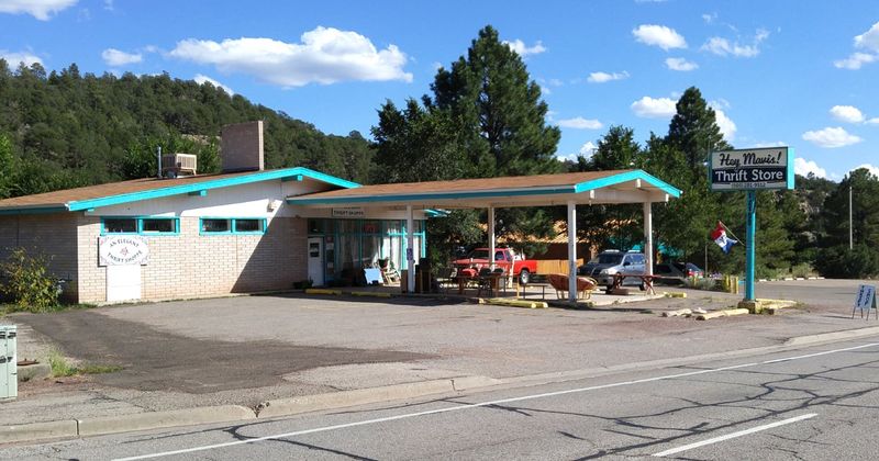 Hey Mavis! Thrift Store – Cedar Crest