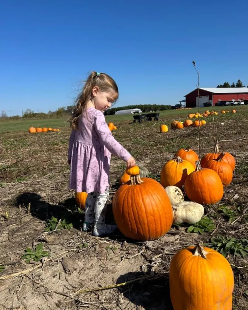 Pumpkin Picking for All Ages