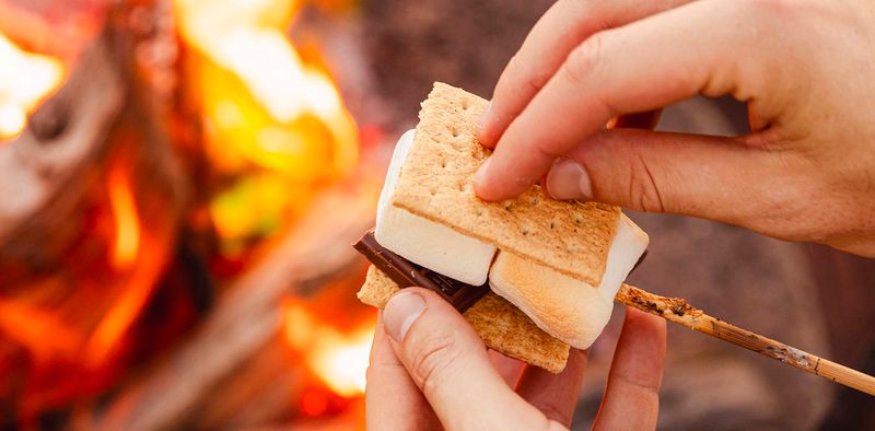 A Feast of Fall Flavors