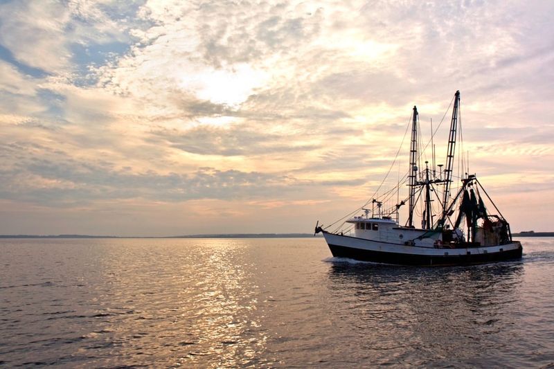 Supporting Local Fishermen
