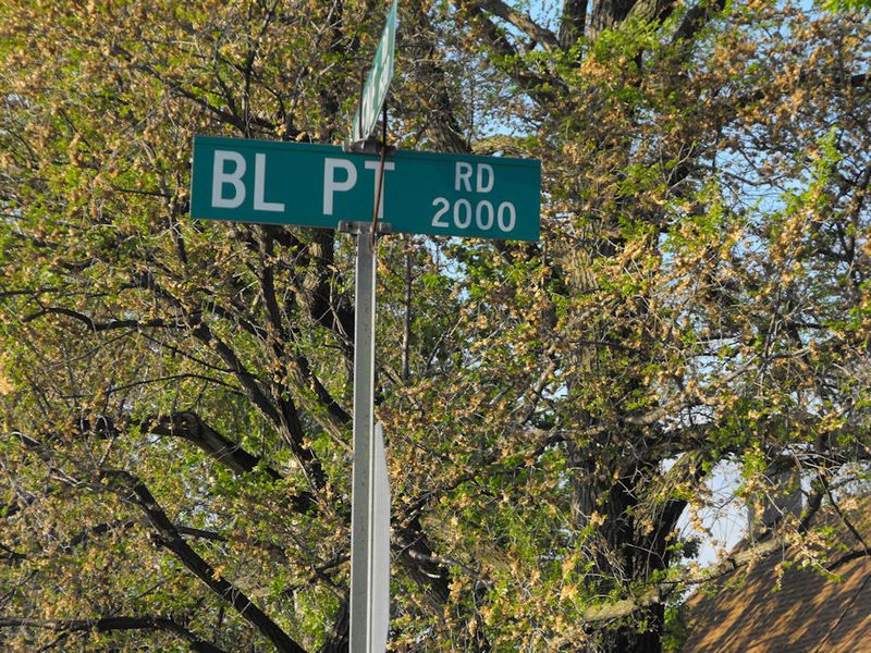 The Haunting Sounds at Night