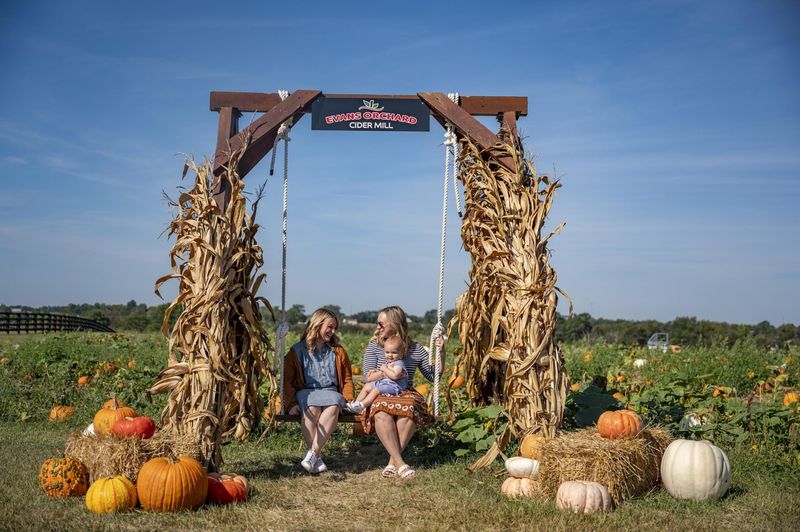Find the Perfect Pumpkin