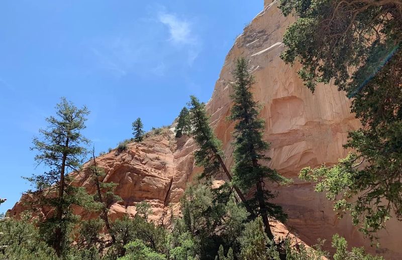 The Echoing Canyon