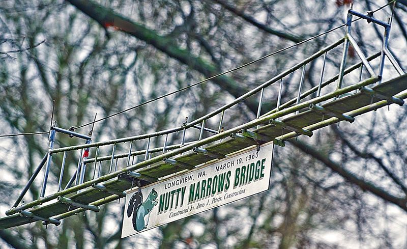 The Bridge Built for Squirrels